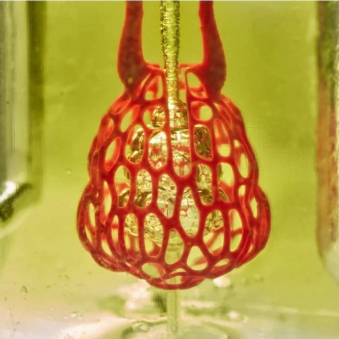 人間の臓器の3Dプリントの時代は、10年以内に到来する可能性があります